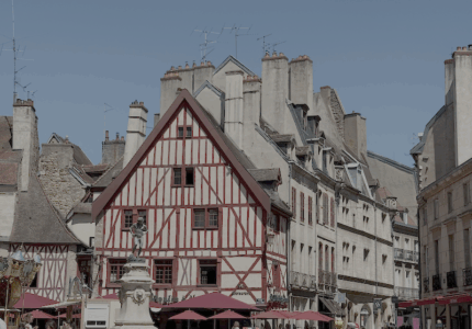 One day in Dijon – owls, mustard and the history of Burgundy