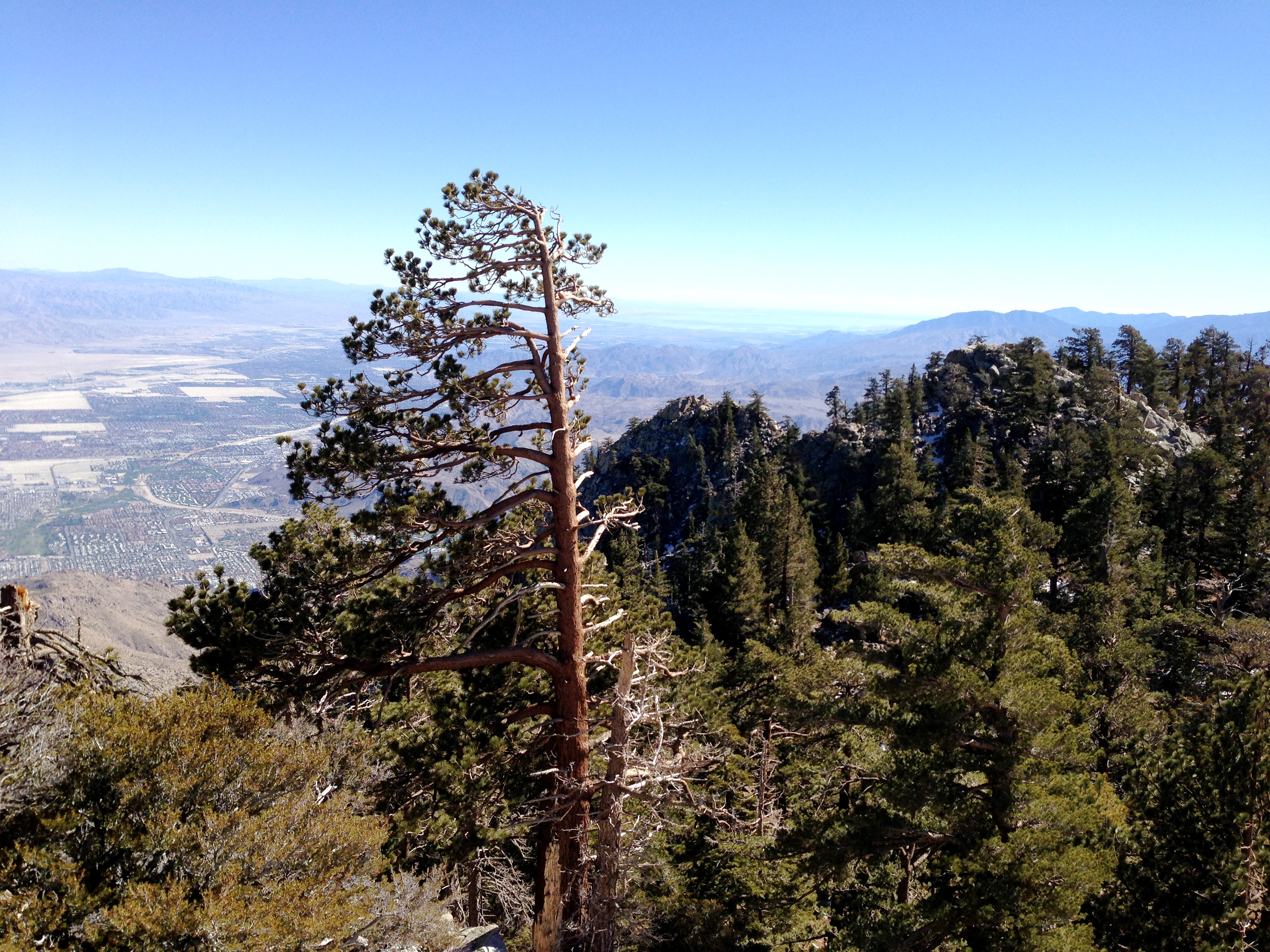 A Journey to the top of Mt. San Jacinto